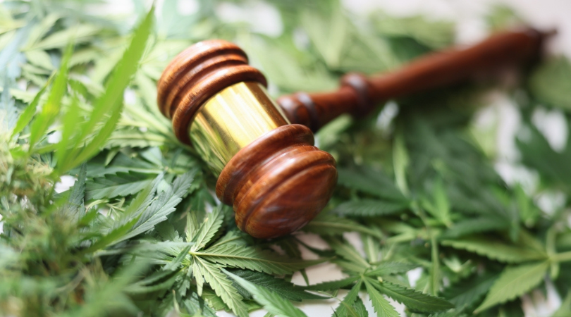 A Guide to Marijuana Laws in Colorado for Visitors