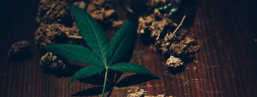 Can You Leave Colorado With Marijuana