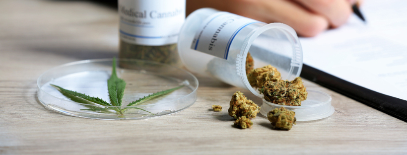 How To Get A Medical Marijuana Card In Colorado