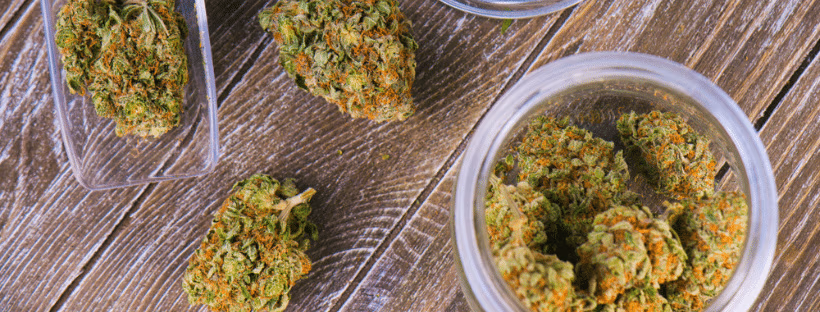 Best Marijuana Strains To Try