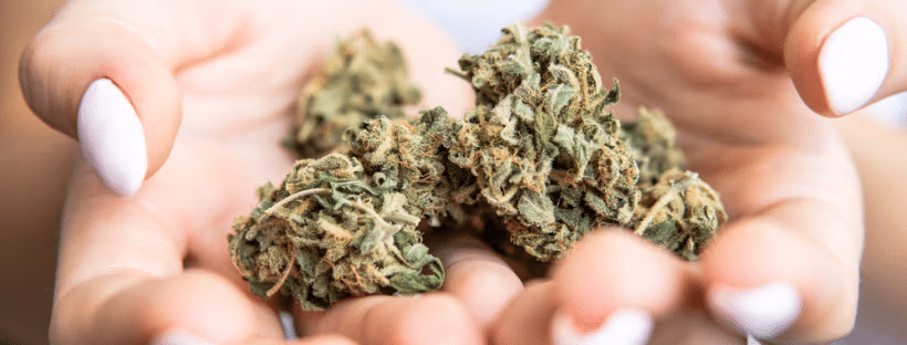 What Are Indica Strains