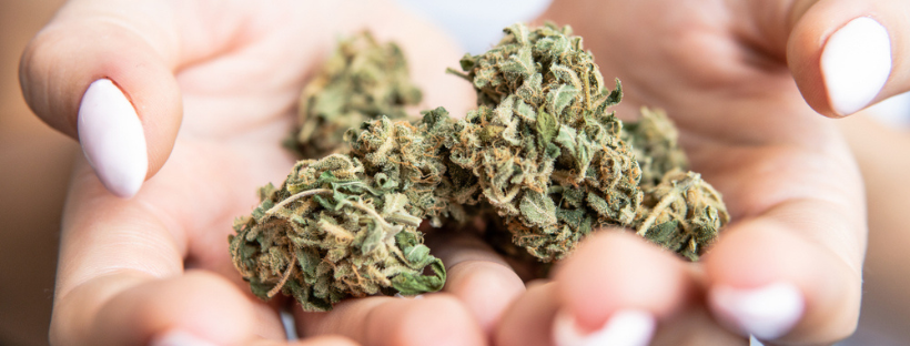 What Are Indica Strains

