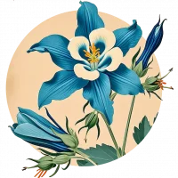 vintage blue columbine flower graphic