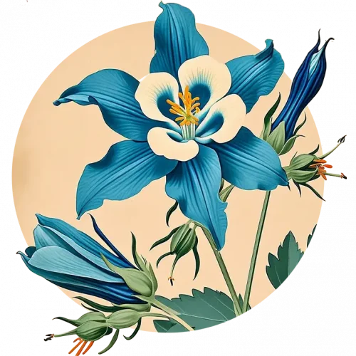 vintage blue columbine flower graphic